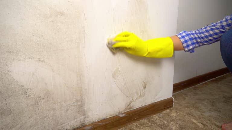 Asbestos and Lead Testing During Mold Inspection in La Habra Heights, CA