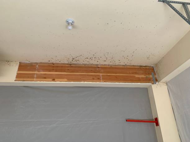 Best Post-Remediation Verification Testing  in La Habra Heights, CA