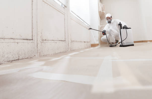 Forensic Mold Investigation in La Habra Heights, CA